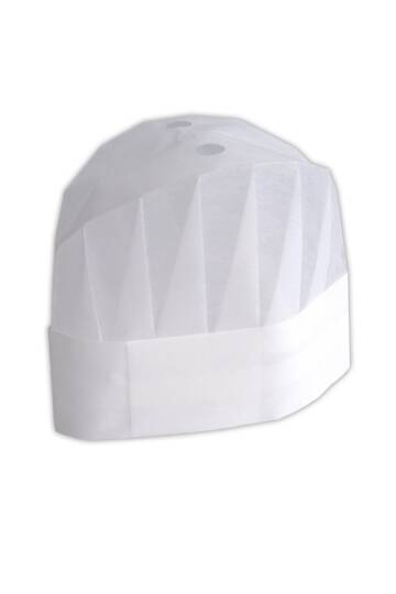 Dolphin Aşçı Kepi 10 Adet