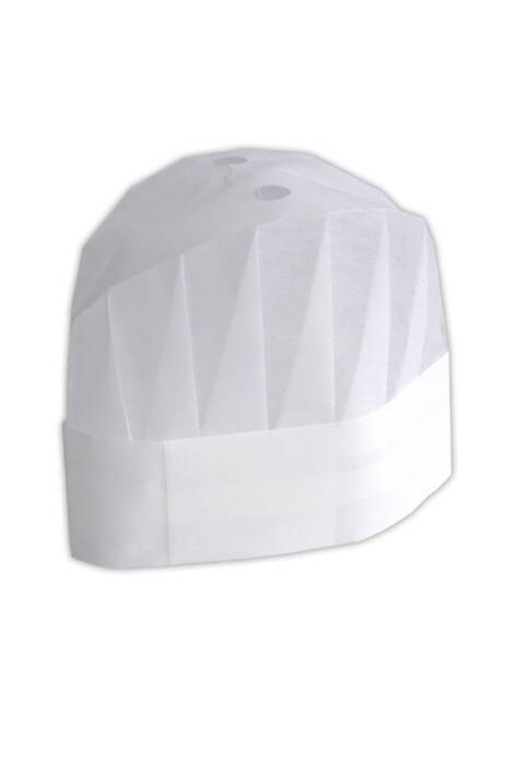 Dolphin Aşçı Kepi 10 Adet - 1