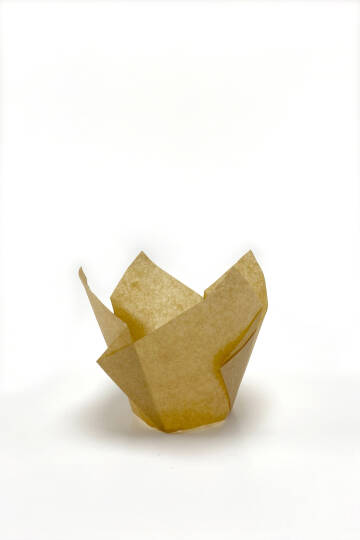 Dolphin Muffin Kek Kapsülü İnce Tulip Kraft 100 Adet - 2