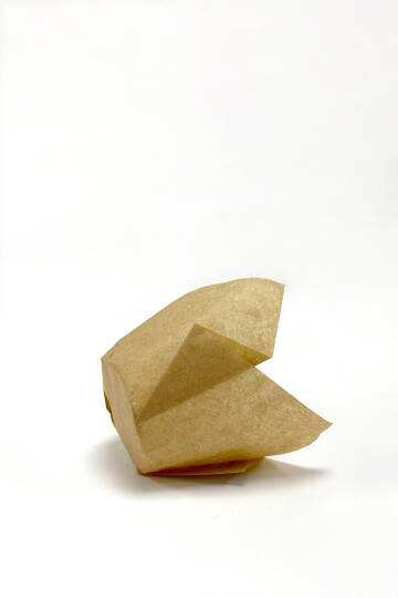 Dolphin Muffin Kek Kapsülü İnce Tulip Kraft 100 Adet - 4