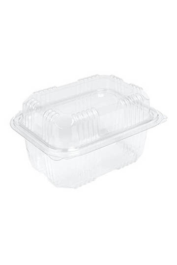 Sızdırmaz Kendinden Kapaklı Plastik Kap - Peynir Kabı 500 gr 100 Adet