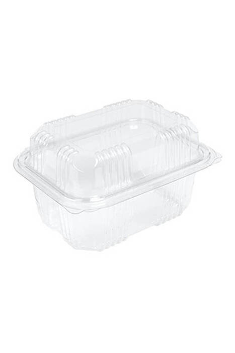 Sızdırmaz Kendinden Kapaklı Plastik Kap - Peynir Kabı 500 gr 100 Adet - 1